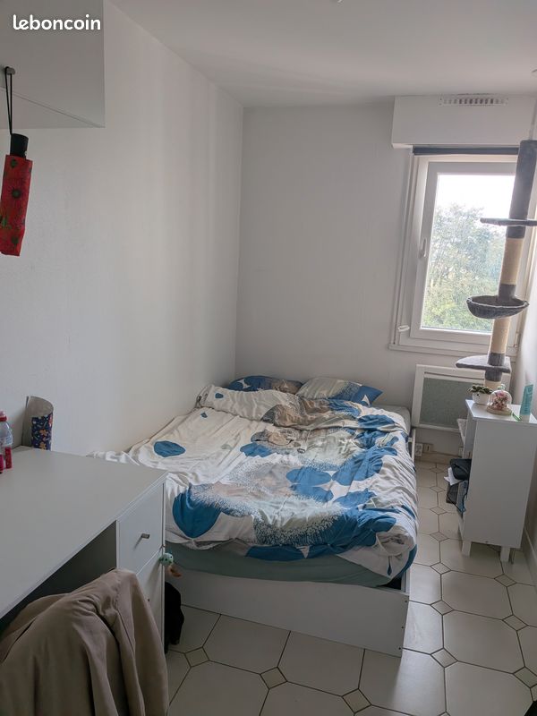Chambre en colocation (image 1)