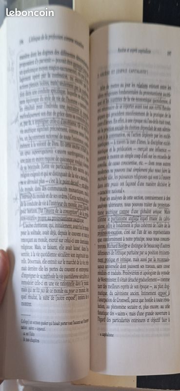 Max Weber - L'Ethique protestante et l'esprit du capitalisme (image 2)
