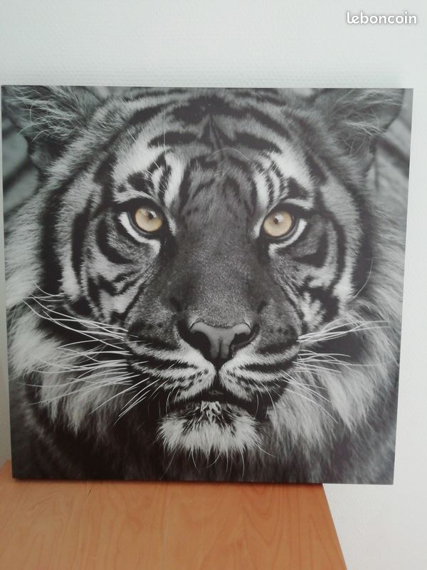 Tableau déco Tigre (image 1)