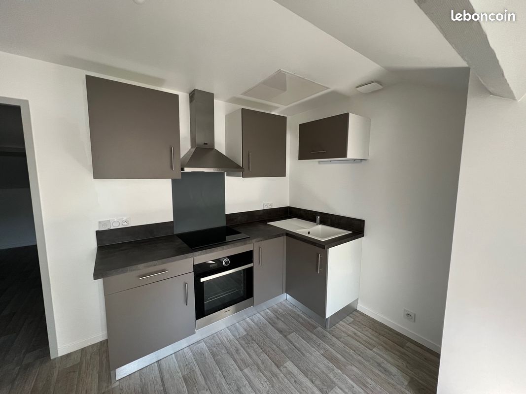 Appartement 3 pièces, rénové, Limoges - Limoges 87000 (image principale 0)