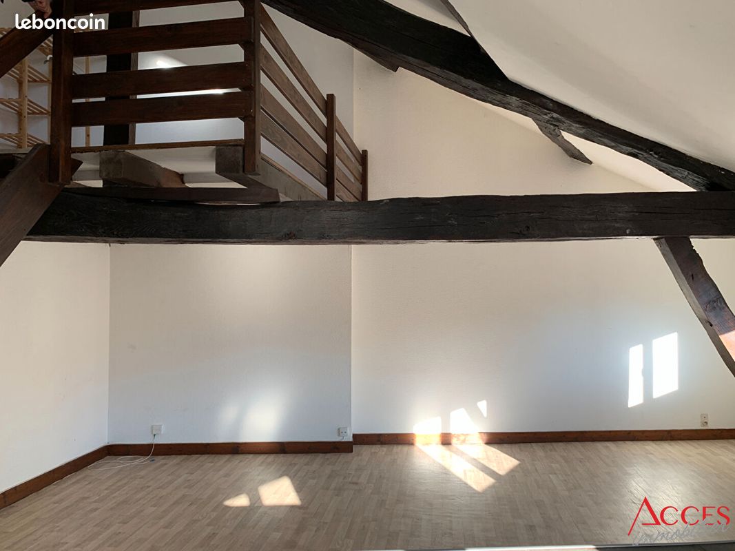 Appartement 1 pièce 42 m² - Limoges 87000 (image principale 3)