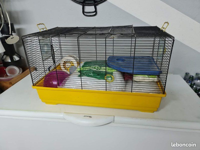Cage hamster (image 1)