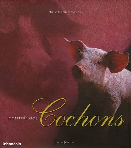 Portrait des cochons (image 1)