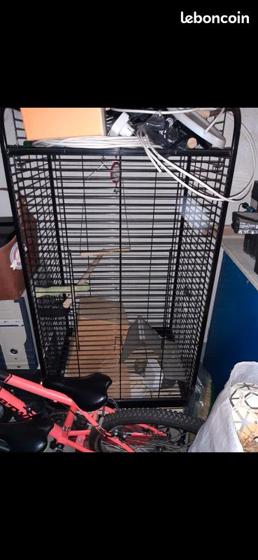 Cage oiseau (image 1)