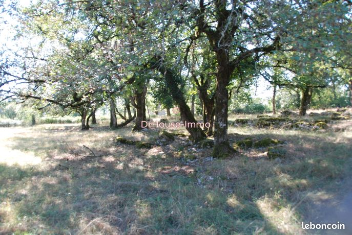 Terrain 1942 m² loubressac