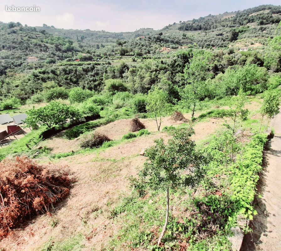 Terrain constructible 1,6ha · à Menton · 195 000 €