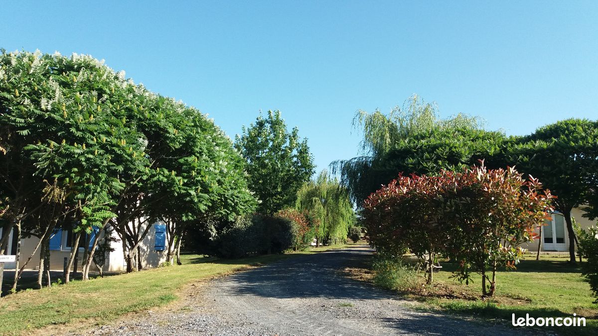 Montréal du Gers Gîte Jonquille (image 3)