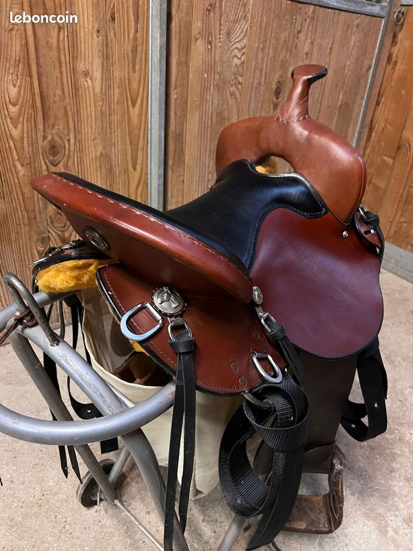 Ailes De Selle Western Adulte En Cuir à Motif Floral - Pièces