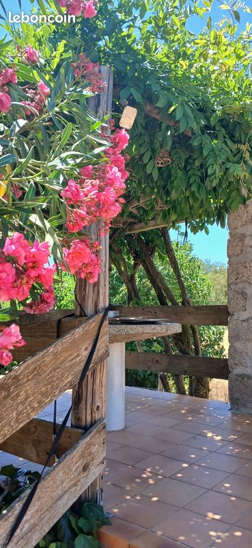 Maison 2 pièces 25 m² · à Porto-Vecchio · 25 m² · 705 €/mois