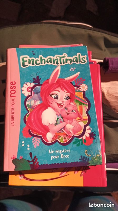 Livre enchantimals (image 3)