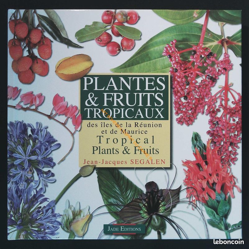 Jeu De Leviers Frein/vitesses Shimano Alivio M430 3x9 Vitesses - Noir, Compatible VTT Et Vélo Hybride