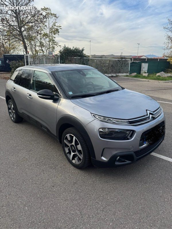 C4 cactus (image 1)