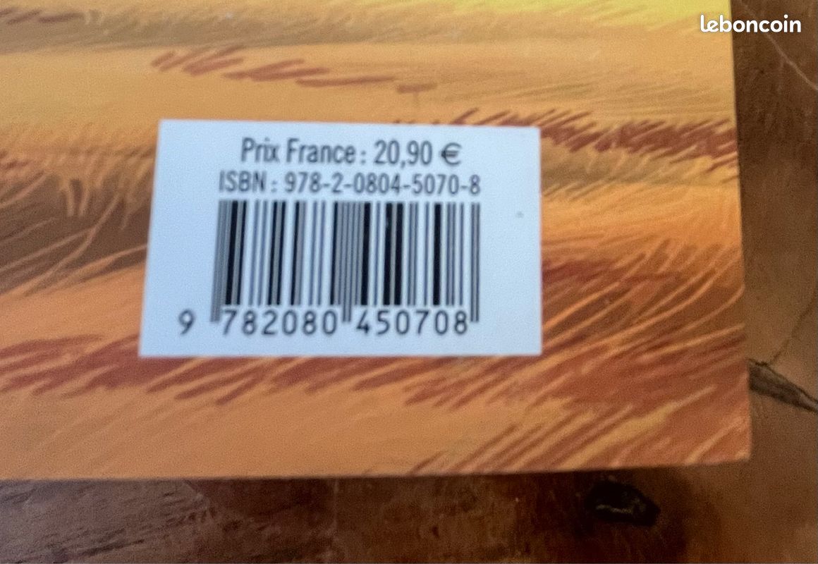 Livre Virginie Grimaldi « plus grand que le ciel » (image 3)