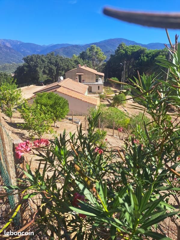 Maison 4 pièces 75 m² · à Sainte-Lucie-de-Tallano · 75 m² · 249 000 €