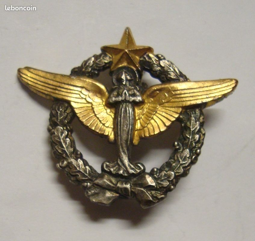 Chasseur Présentoir de 31 Insignes de Bataillon ARTHUS BERTRAND PARIS - Ventes d'antiquités Chasseur Présentoir de 31 Insignes de Bataillon ARTHUS BERTRAND PARIS - Ventes d'antiquités