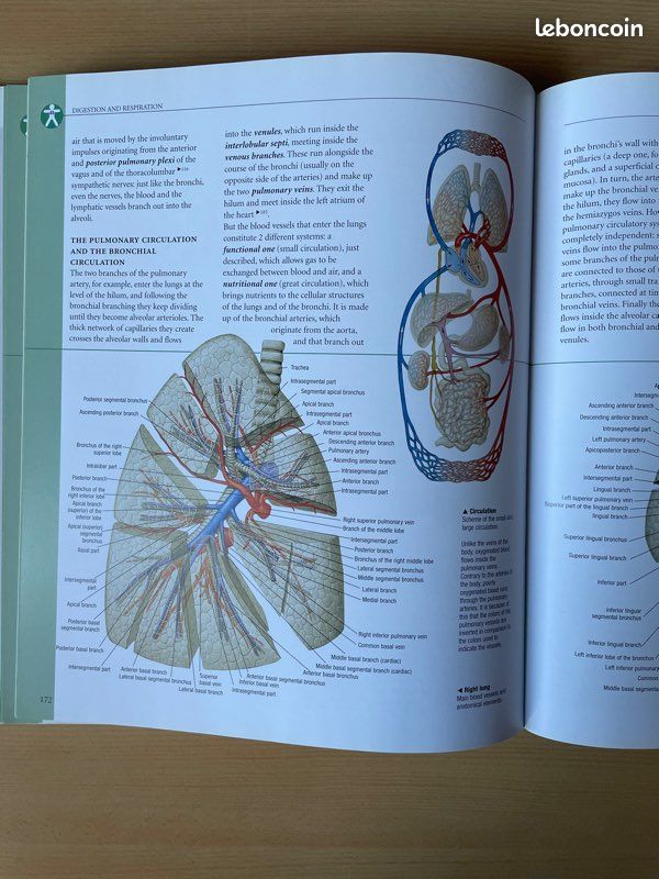 Livre de Biologie/Médecine - Atlas of human anatomy (image 3)