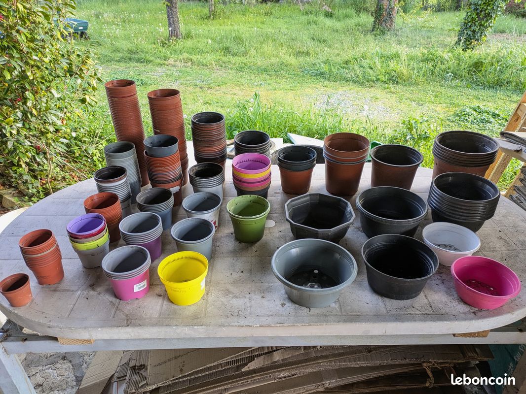 Carte Pokémon Booster Set Japonais "Boulon Noir Et Flare Blanc" (sv11B/sv11W) - Cartes Neuves Et Scellées, édition Scarlet & Violet