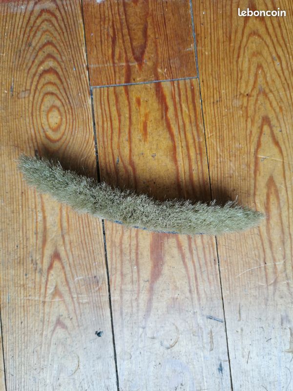 Brosse à chapeau (image 4)