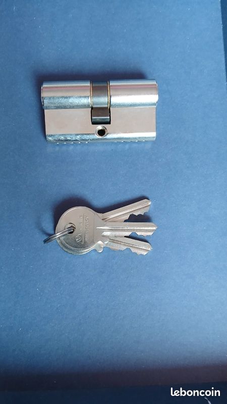 Cylindre de porte 30x30 Vachette ASSA ABLOY (image 5)