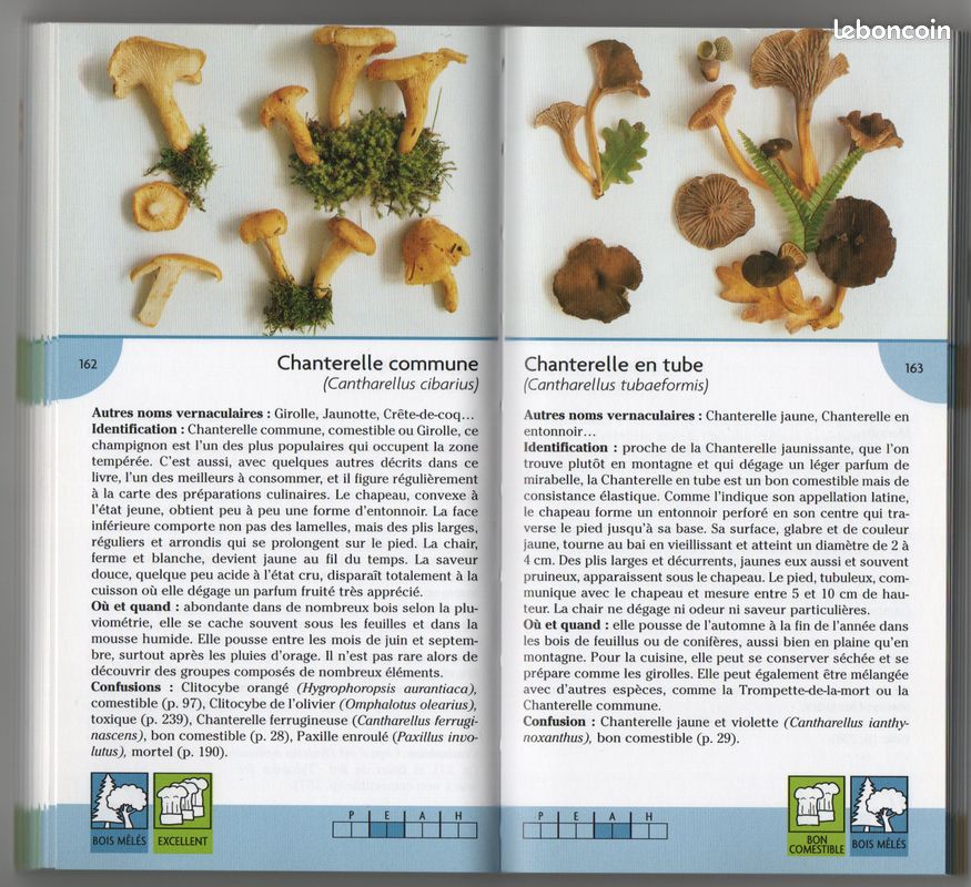 Livre Champignons de nos Régions (image 3)