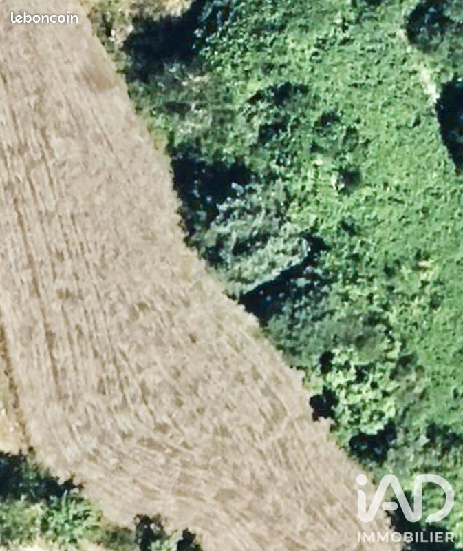 Terrain 1700 m² · à Châteauneuf-la-Forêt · 1 700 m² · 17 000 €
