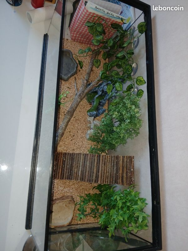 Terrarium 70x25H30 (image 1)