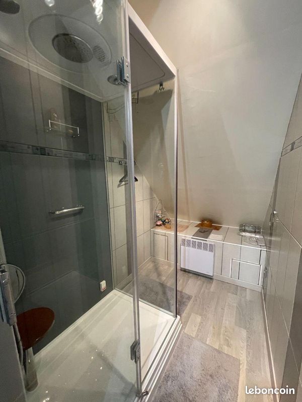 Maison en viager 7 pièces 175 m² (image 10)