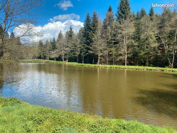 Terrain 16 185 m² Baccarat
