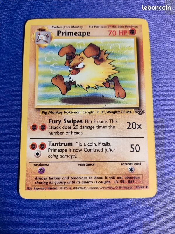 Carte Pokmon Anglais Primeape 1995 - Collection Carte Pokmon Anglais Primeape 1995 - Collection