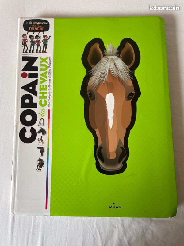 Copain des chevaux (image 3)