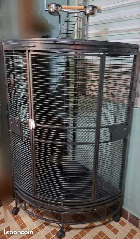 Vente cage oiseaux (image 2)