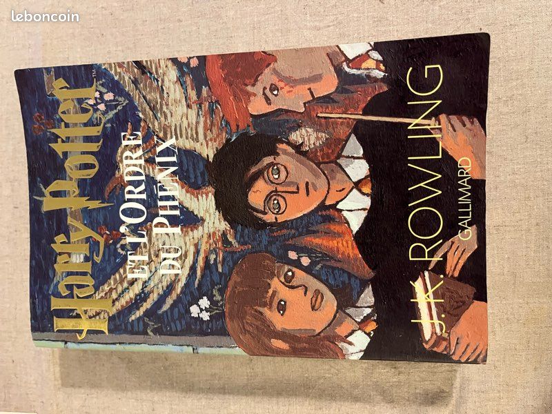 Harry Potter et l’Ordre du Phénix (image 1)