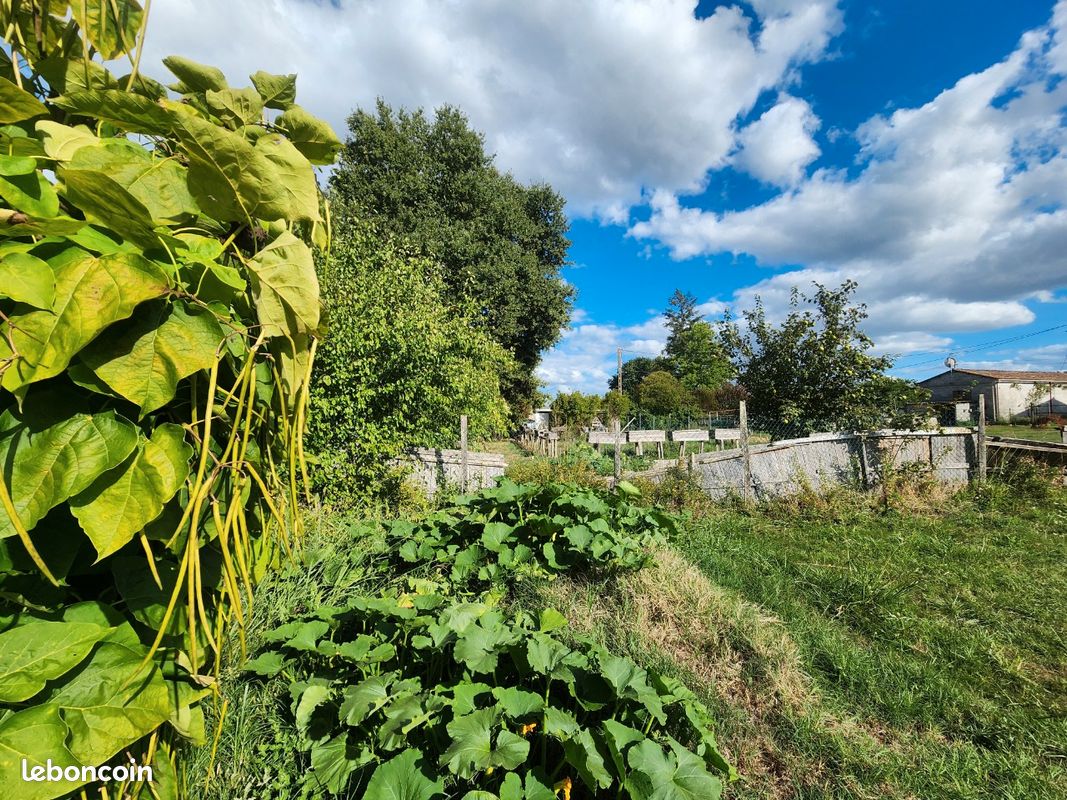 Terrain constructible · à Pellegrue · 26 000 €
