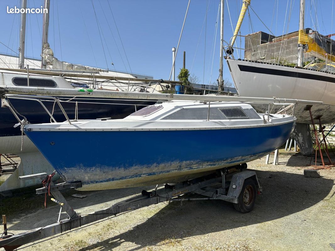 Mallard 6 — View photo 1