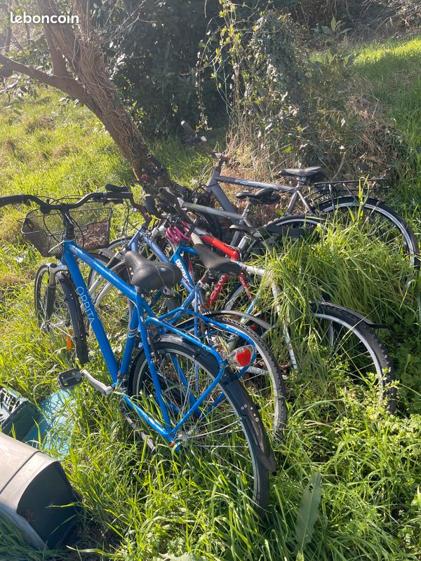 4 vélos (image 1)