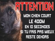 Chiennes De Garde Plaque Attention Chien Malinois Berger Belge En Métal 29x20cm Percée Réf 51b EBa Plaque Chien Portail