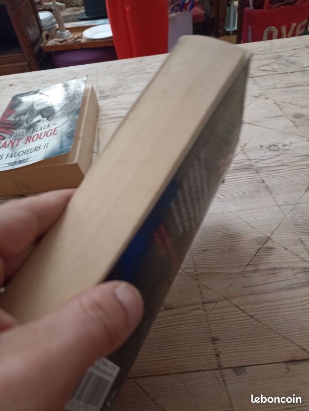 Livre Holly black les faucheurs 3 coeur noir (image 5)