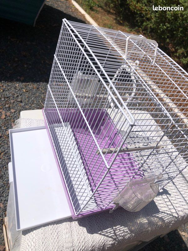 Je vends une cage à oiseaux (image 3)