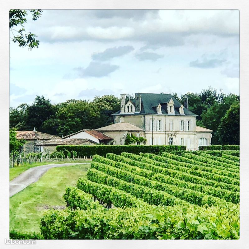 Maison de vacances à louer près de Bordeaux, 2-9 Juillet et 9-16 Juillet (image 1)