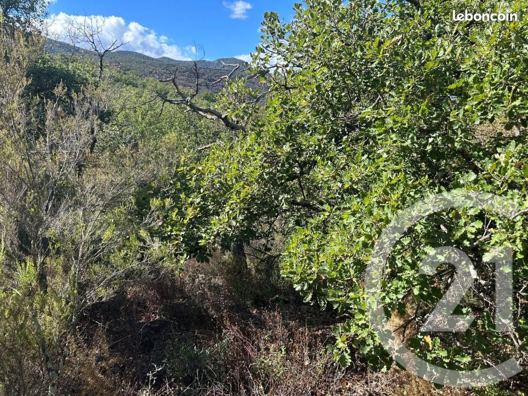 Terrain 5496 m² · à Céret · 13 500 €