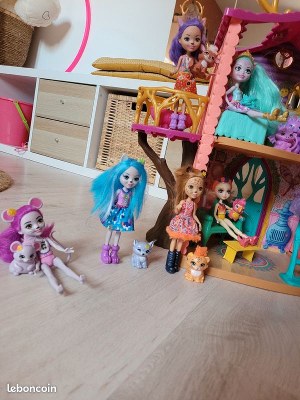 Lot Maison et Poupées Enchantimals (image 1)