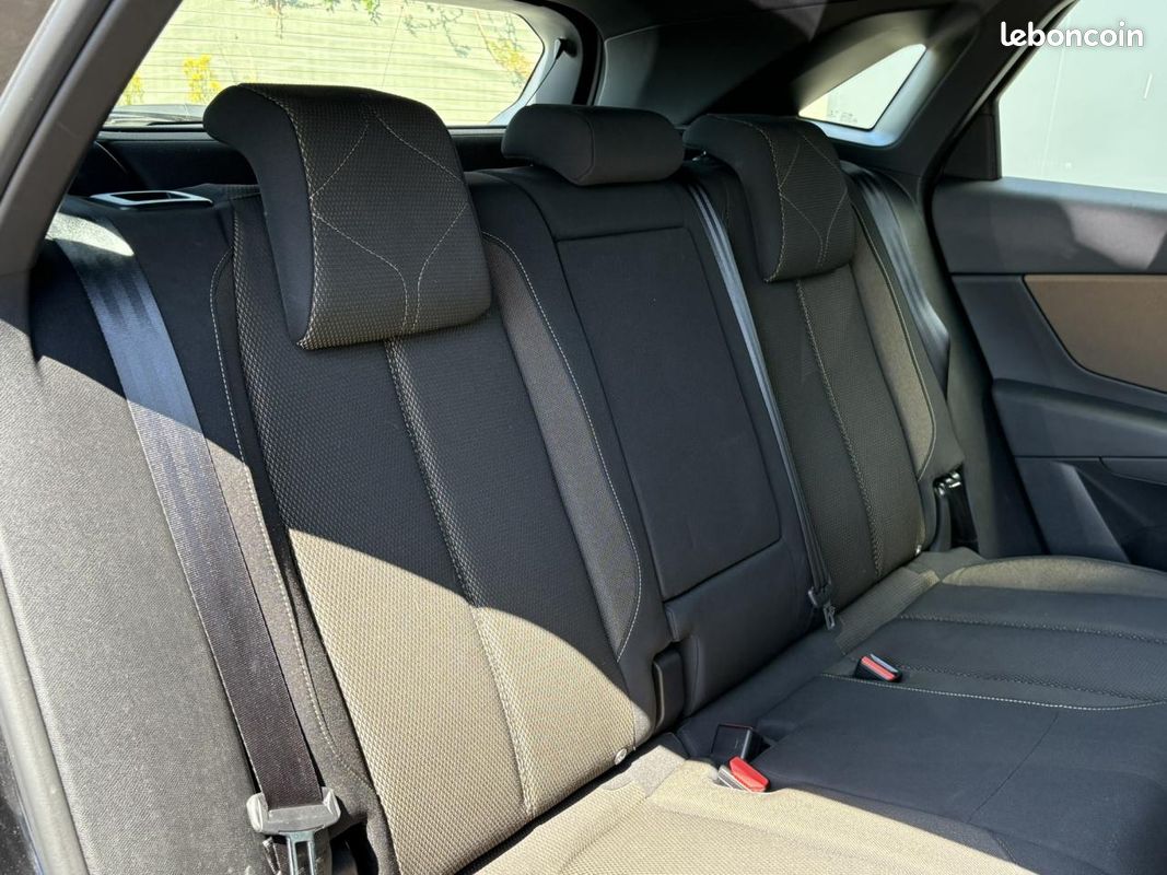 DS DS 7 CROSSBACK 2.0 BlueHDI 180 EAT8 Business (image 16)