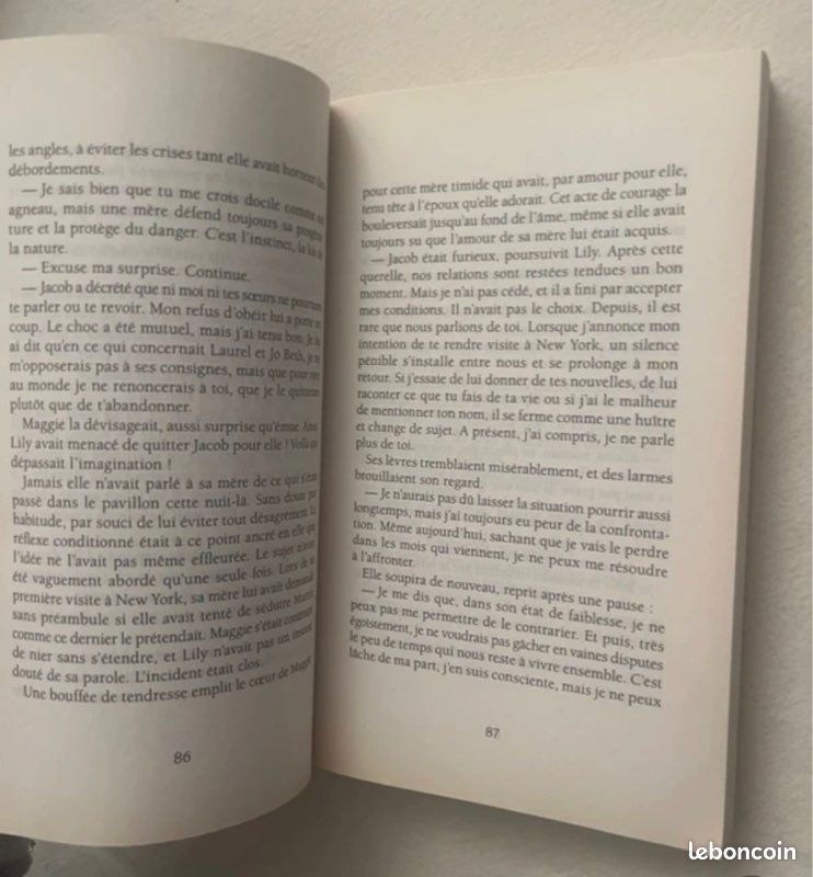 Le voile du secret : ginna gray (image 11)
