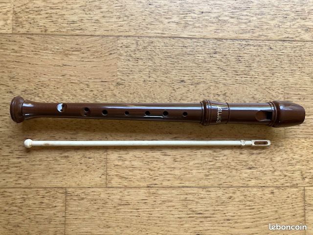 Très jolie flute à bec en bois (image 1)