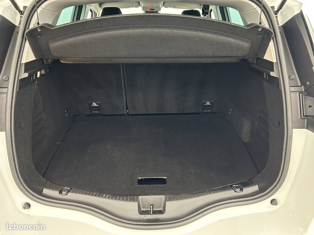 RENAULT Scenic Blue dCi 120 - 21 Business (image 14)