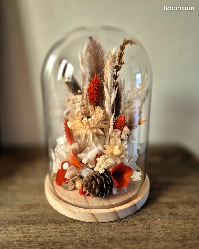 Dôme Cylindrique En Verre Transparent, Base En Boi... – Grandado