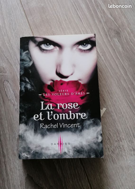 Les voleurs d'âmes Tome 1 à 4 (image 5)