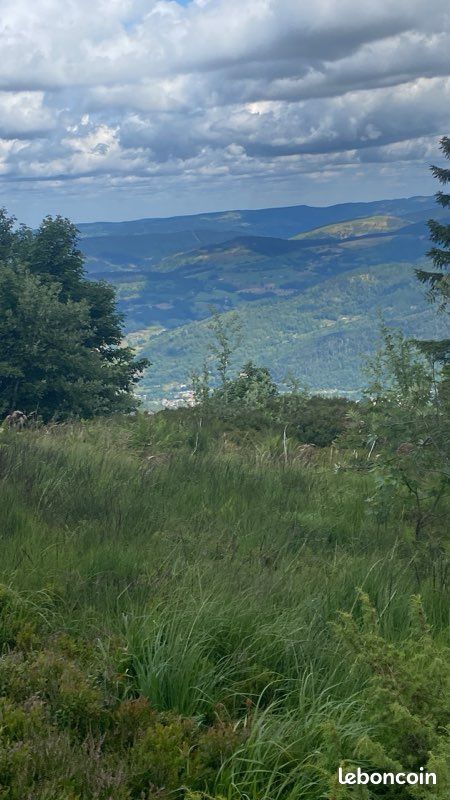 Cab’ Ânes et Cie (image 4)
