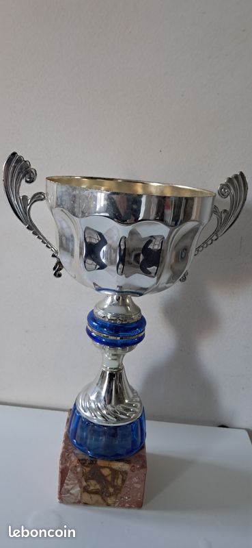 Coupes sportives Trophées (image 3)