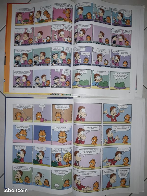 BD Garfield (image 2)